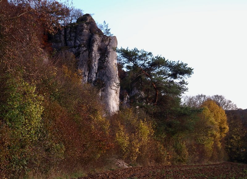 PB130262.jpg