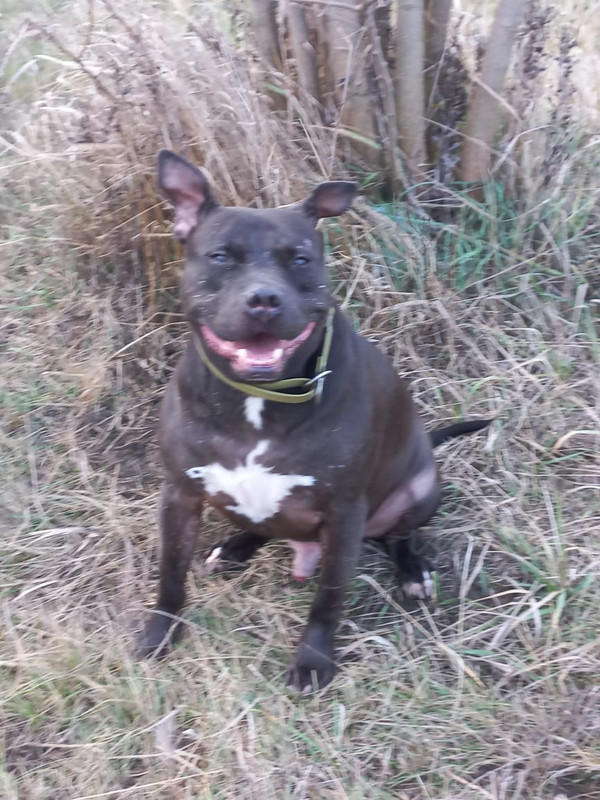 ACAD069A-F899-43AA-907D-41E3E351812F