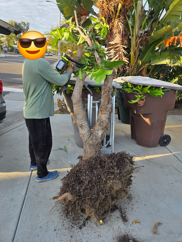 FB IMG 1764008227162