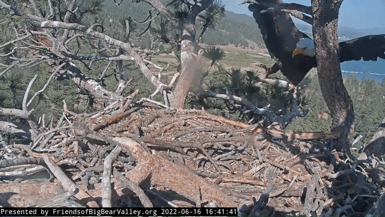 Webp.net-gifmaker (9)