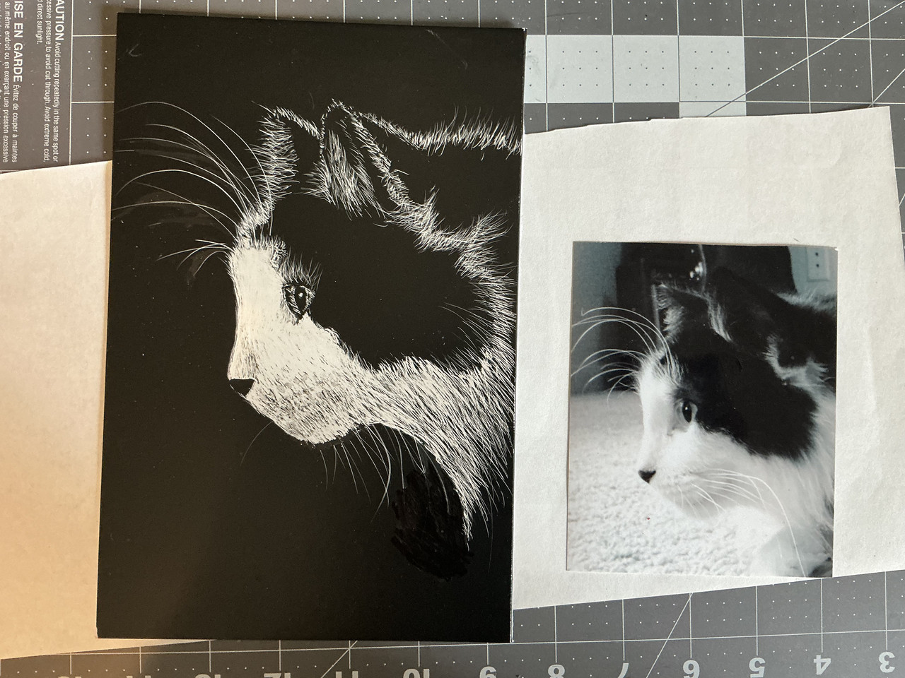Scratchboard