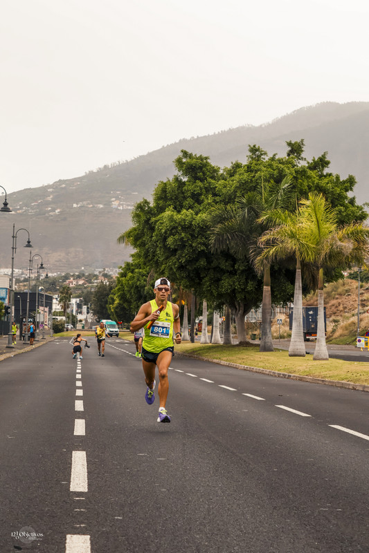 Canary-Run 121