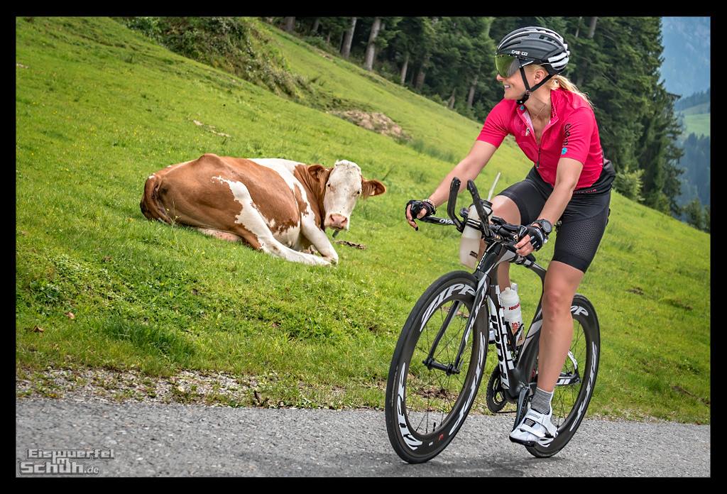 bike95c