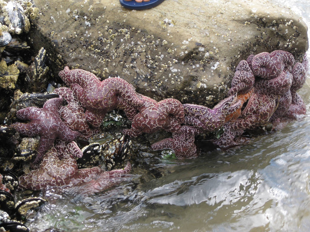 [Image: 1415138-834935276521946-880570761-o.jpg]