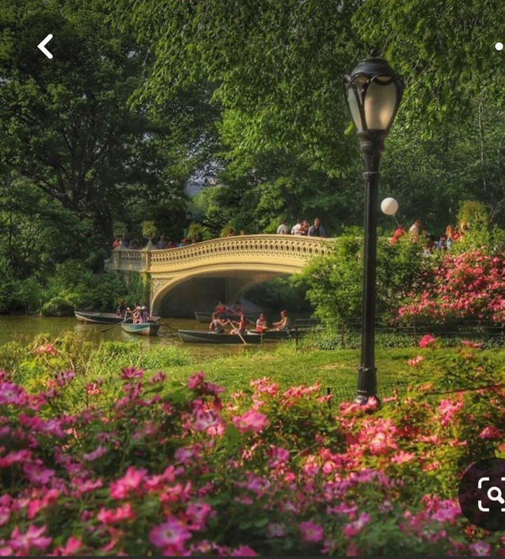 Screenshot_20240330_235556_Pinterest