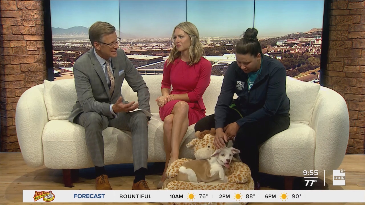 08.01 - 16.00.00 - FOX13 News  Good Day Utah 9AM  ᴺᵉʷ. Utah news, wea....ts_snapshot_00.56.26.373