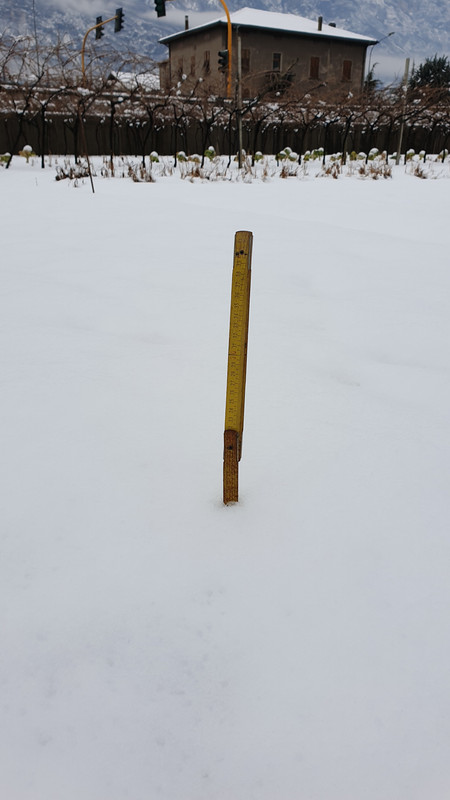 20190202_123348