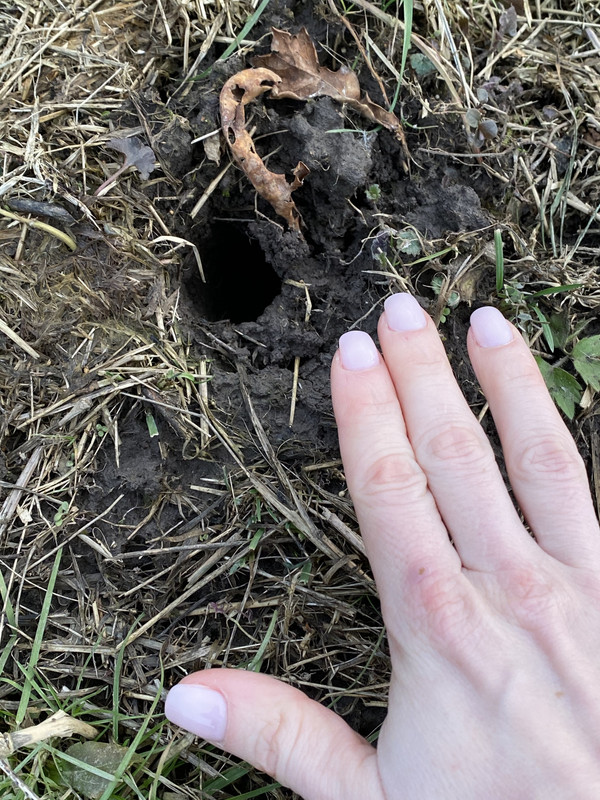 22072400-0B30-4AAF-9950-3EC8D856052A