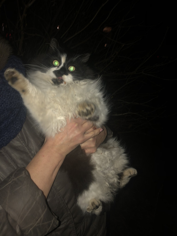 E4401EA0-9B0A-4391-83B1-612C6B163FEE