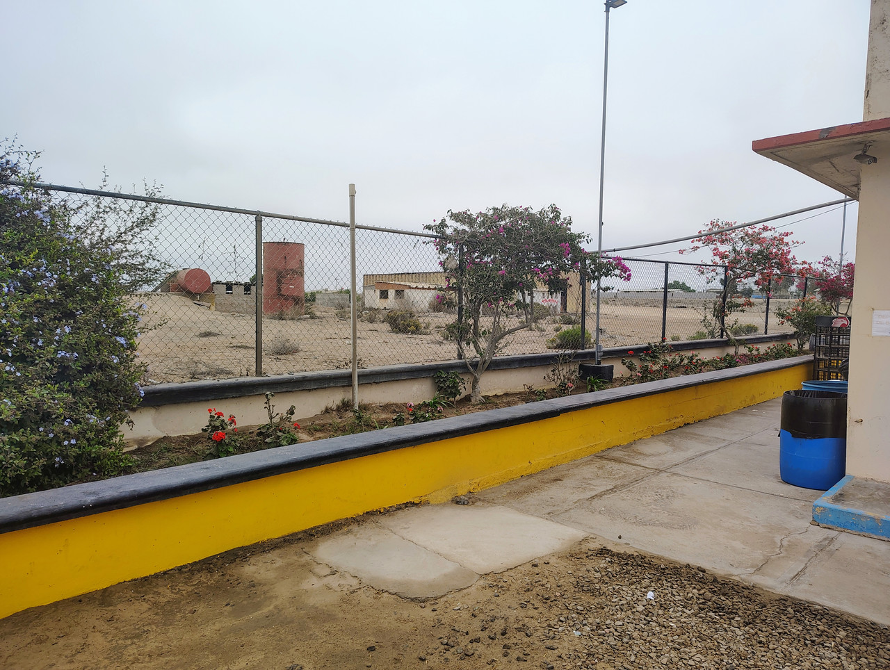 IMG 20251109 075505341 HDR AE