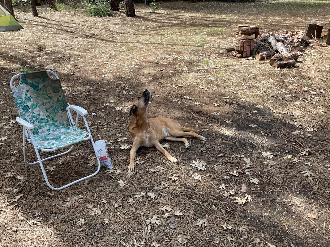 21EA623A-7CFB-476C-AFF8-838BC0DB5567