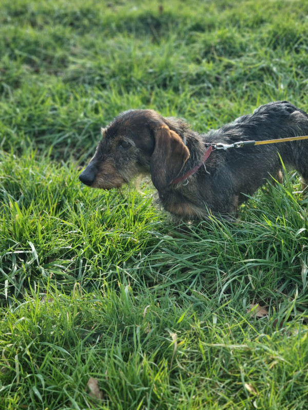 [Image: IMG-20230209-WA0004.jpg]