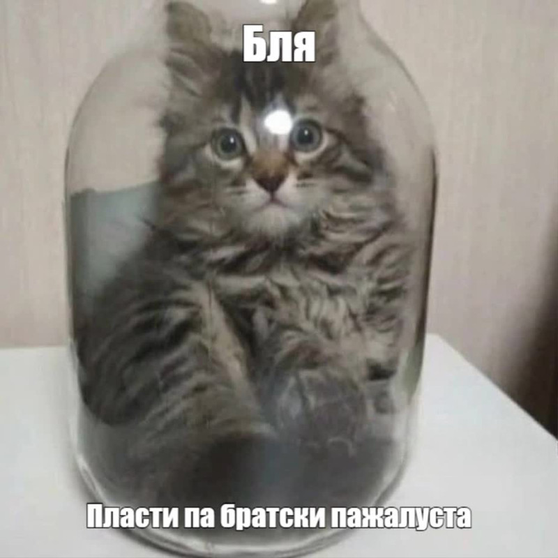 6de7adddd2d431b5a953685a19c83b40-uex-IVU1s-1.jpg