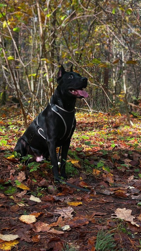 E5E0EB7A-4787-4C0F-B1E5-BB34C5B9188E