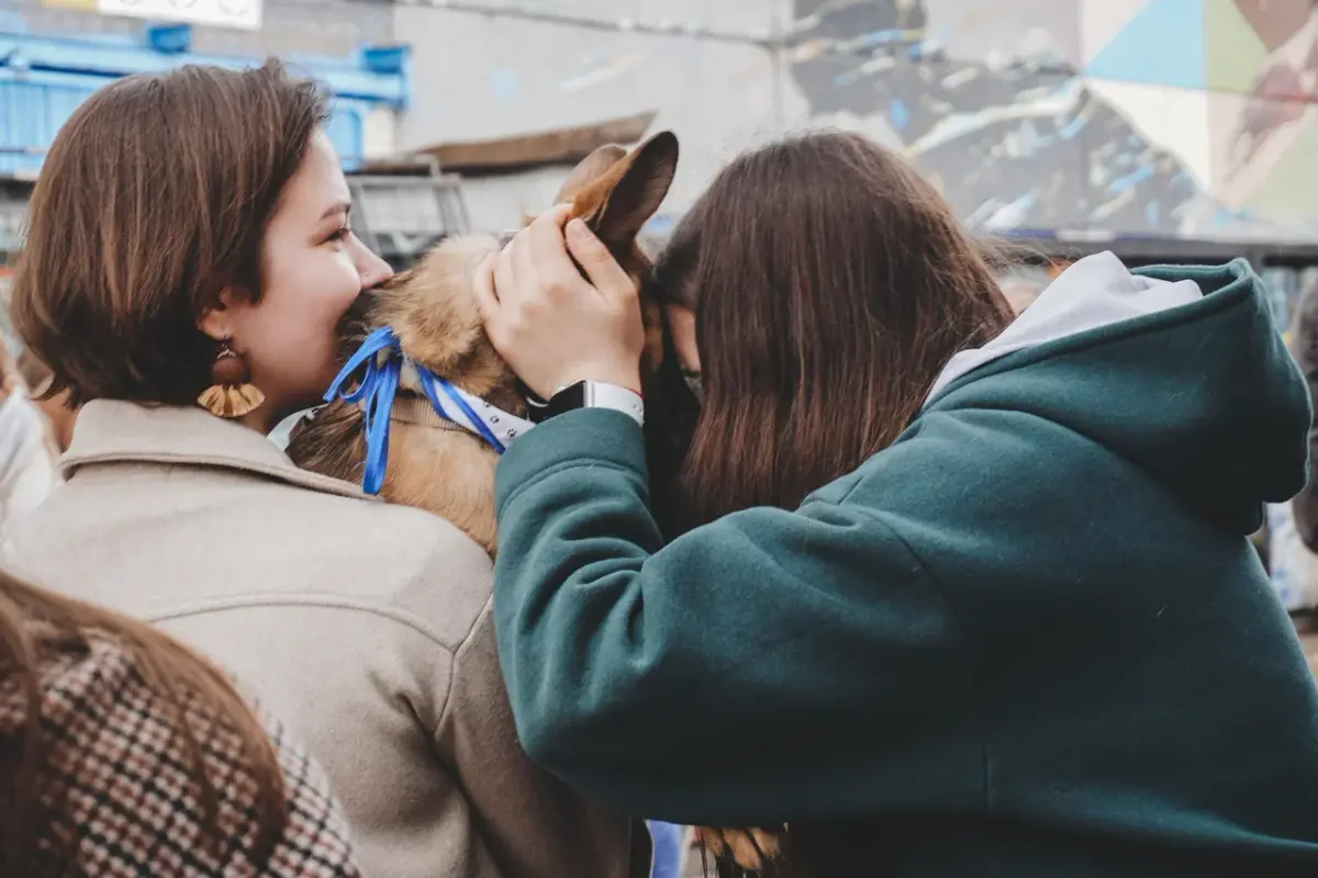 FAA4BE77-8549-4D1E-87DC-16DE826661B2