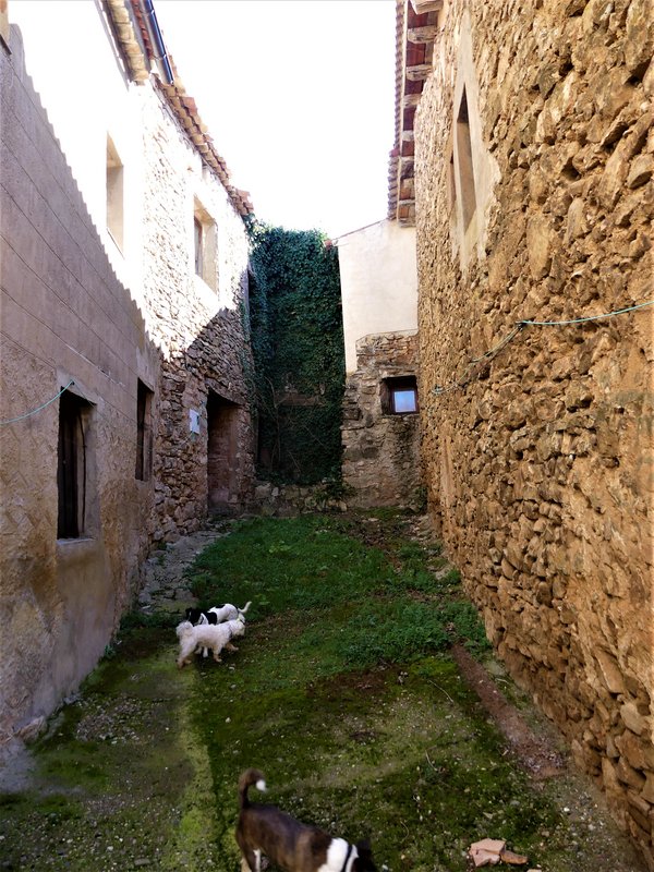 VALDERROMAN-16-2-2020 - Soria y sus pueblos-2010/2013/2020 (12)