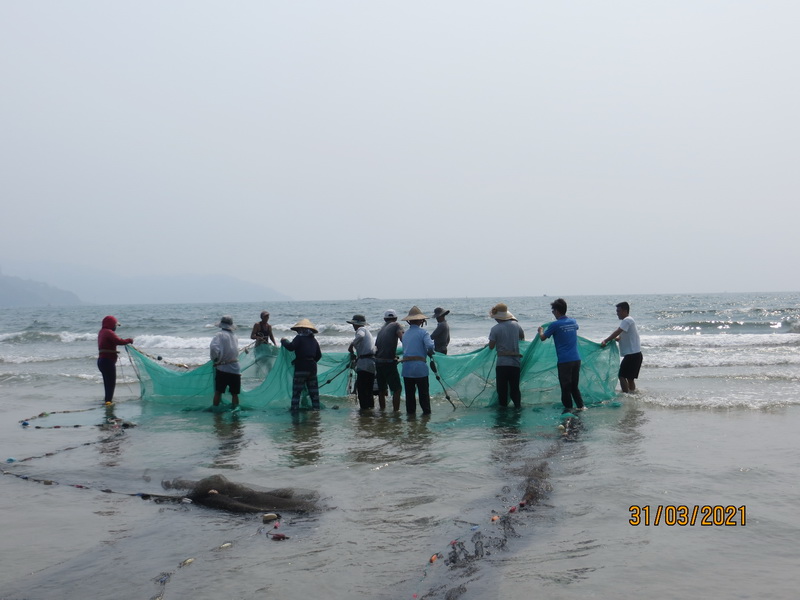 [Image: IMG-8311-resize.jpg]