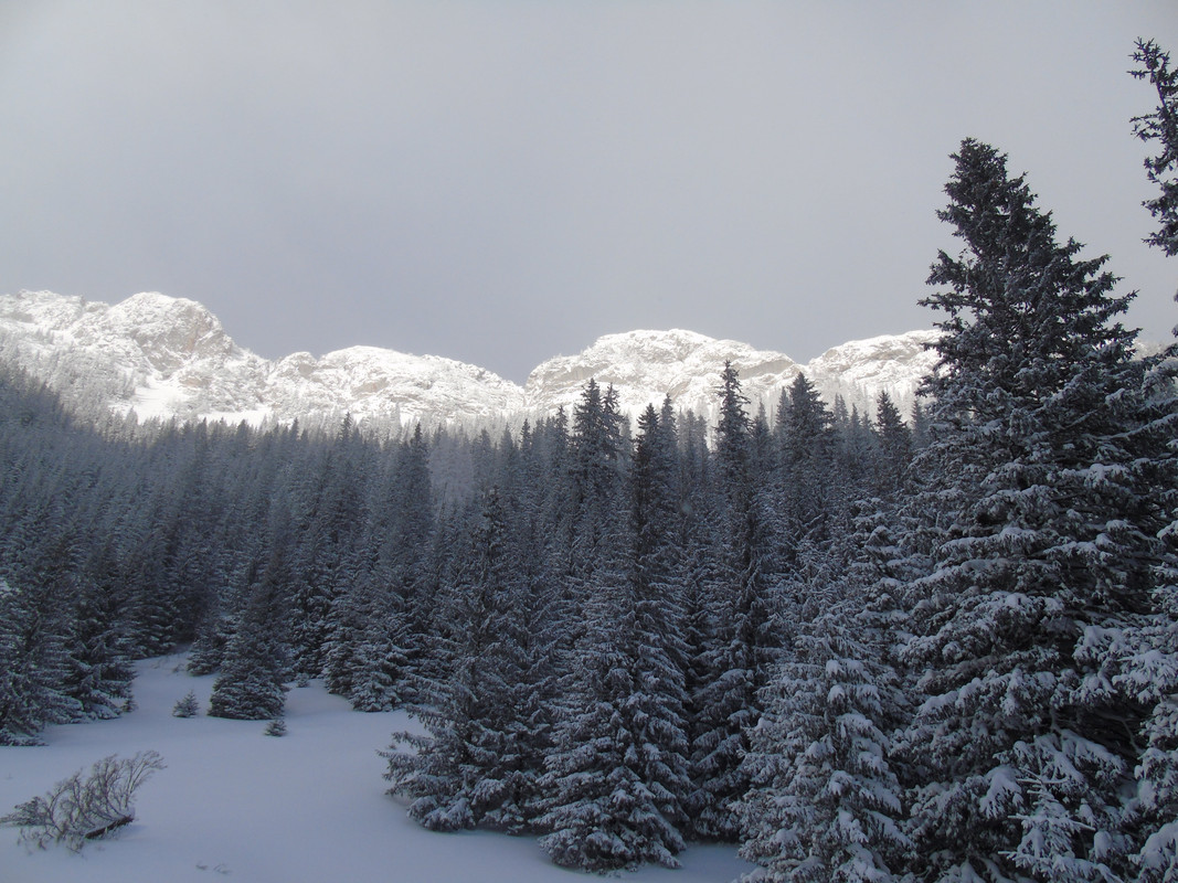 09.05 - DSC05052 (PawelK)