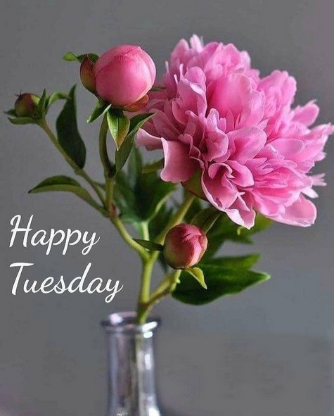 TUESDAY-mardi-35