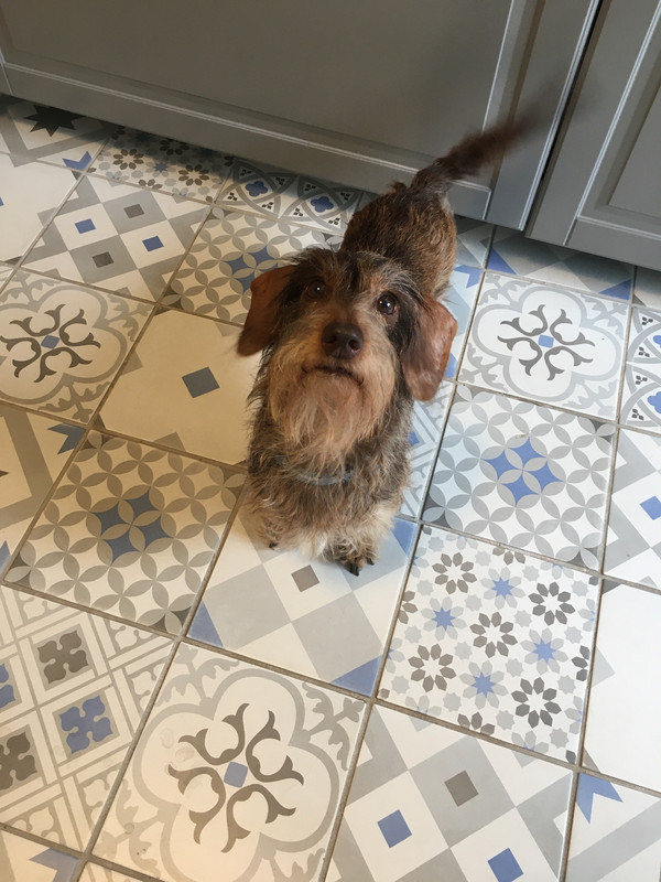 [Image: 166-E000-A-C81-C-40-CD-B5-AD-8-CDF298-D1718.jpg]