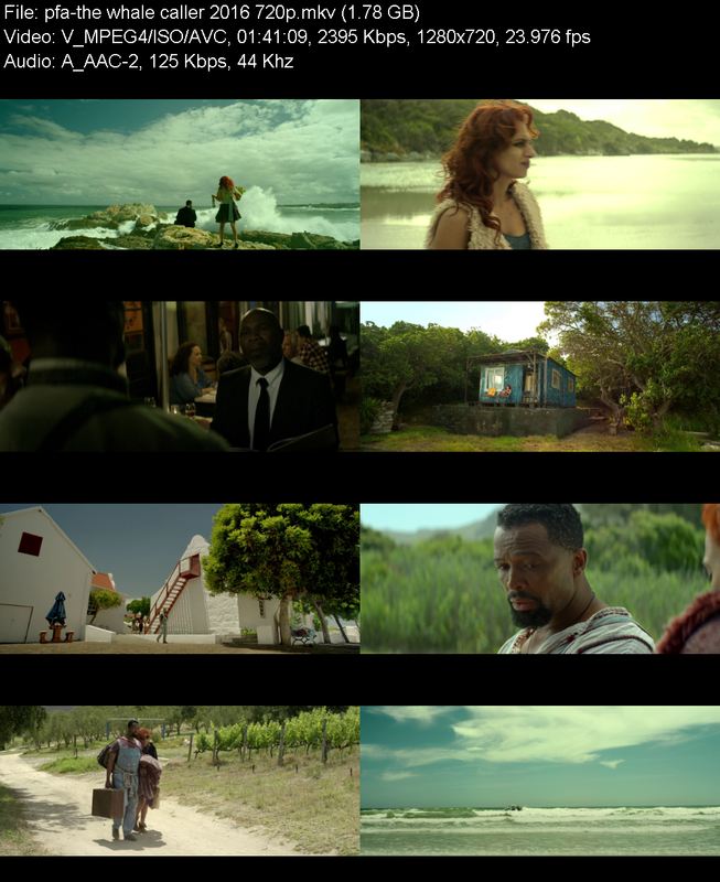the-whale-caller-2016-720p-web-h264-pfa.