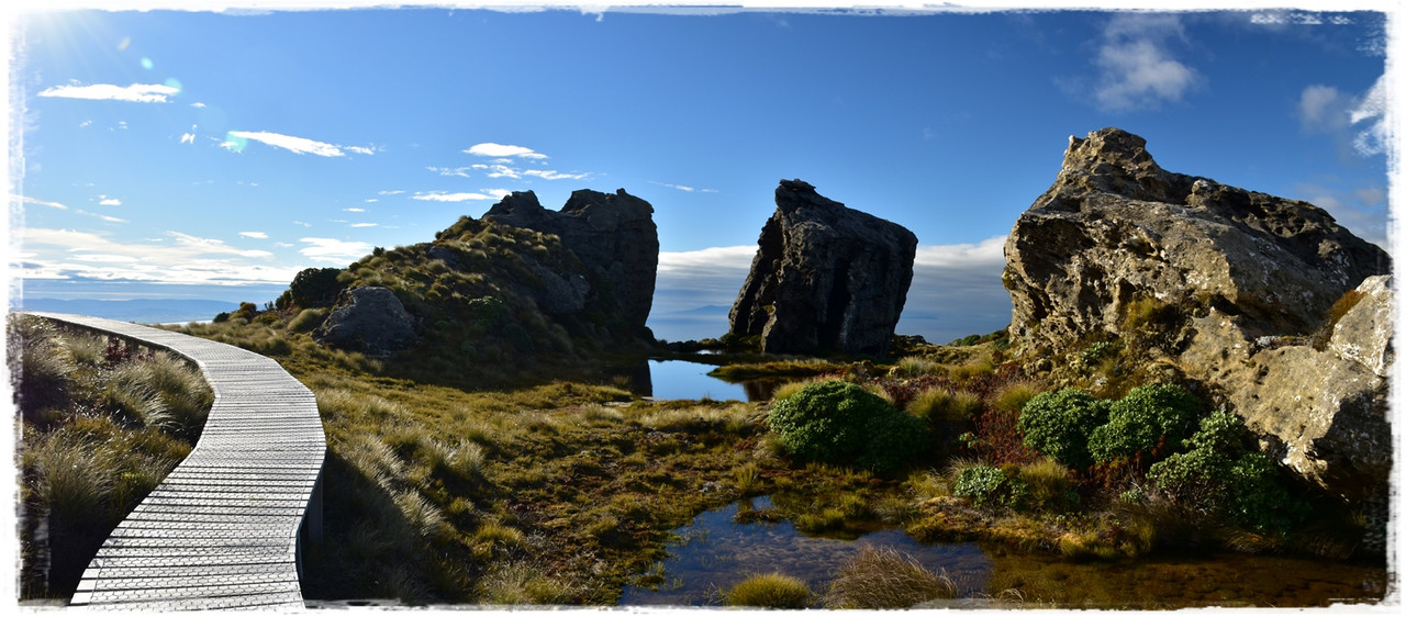 Fiordland NP: Humpridge Track (febrero 2021) - Escapadas y rutas por la Nueva Zelanda menos conocida (38)