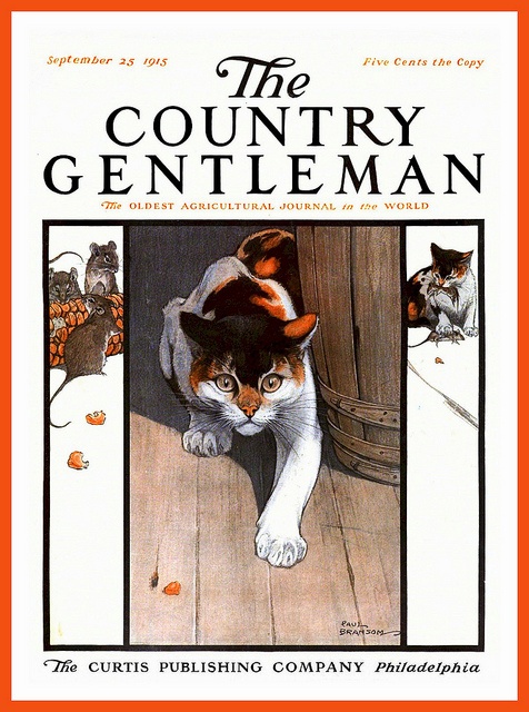 14-The-Country-Gentleman-magazine-cover-September-25-1915-The-best-Mousetrap-by-Paul-Bransom