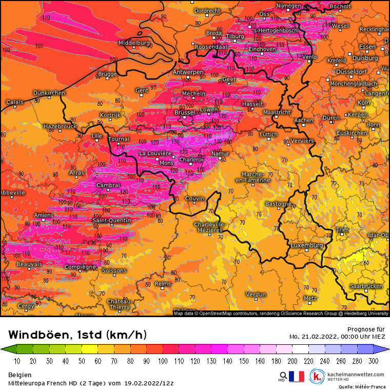 de-model-de-310-1-modfrahd-2022021912-35-644-11.png