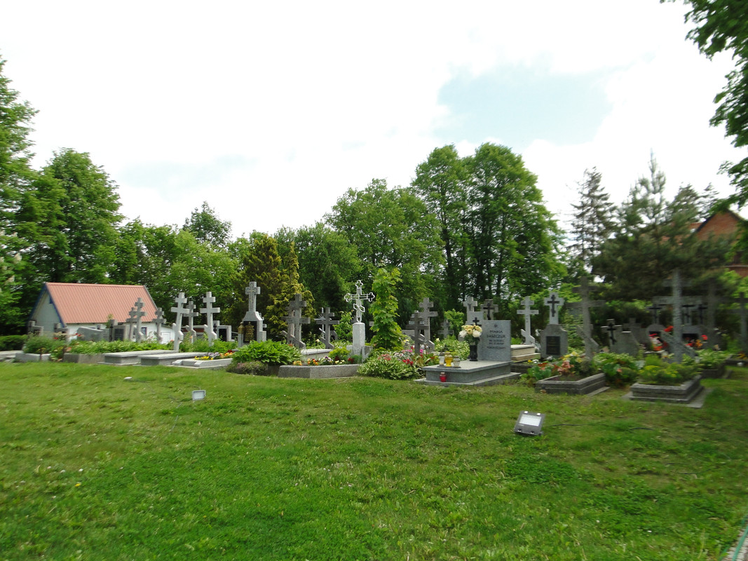 05 - DSC03880 (Mysikrólik)