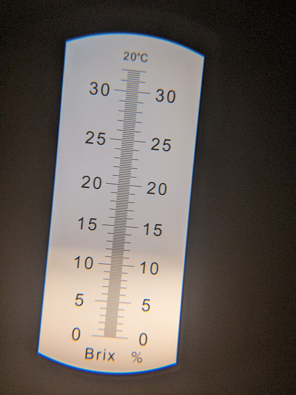 PXL_20221106_120600471.MP