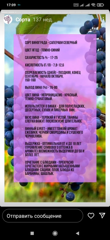 Screenshot_2023-03-24-17-09-54-887_com.instagram.android