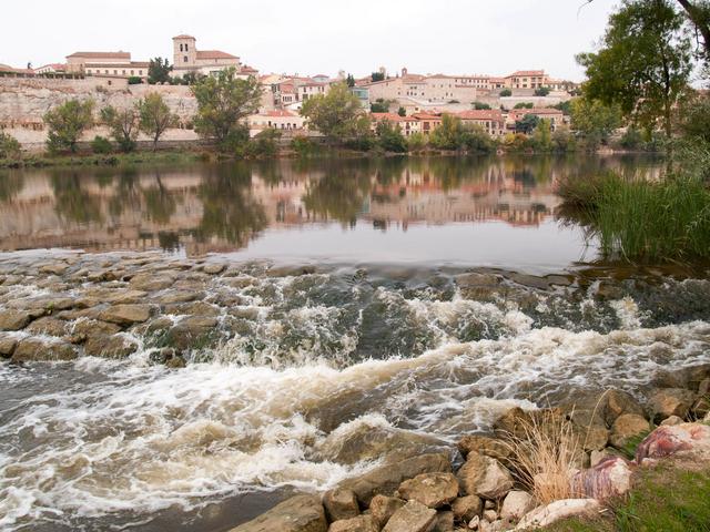 ZAMORA, TORO y "Las Edades del Hombre" - Blogs of Spain - Sábado en Zamora (34)