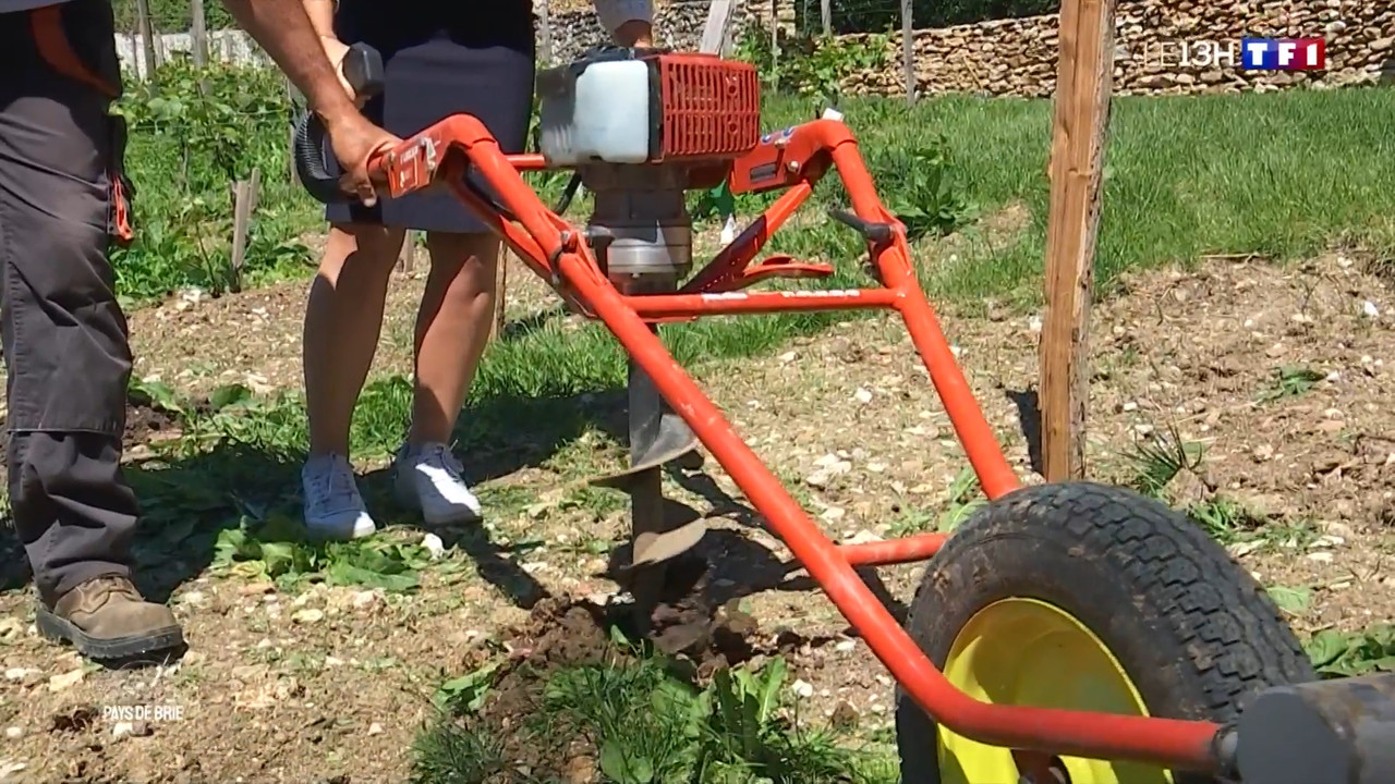 2021-06-19_13_00_TF1_Le-13h.mp4_snapshot_00.34.21.725