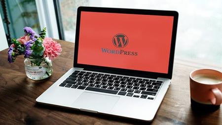 Build a Clean and Professional WordPress Blog Step by Step