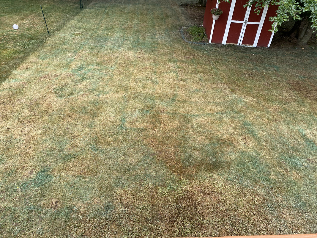 A218FC3C-71B7-4791-AE97-07665D423C99