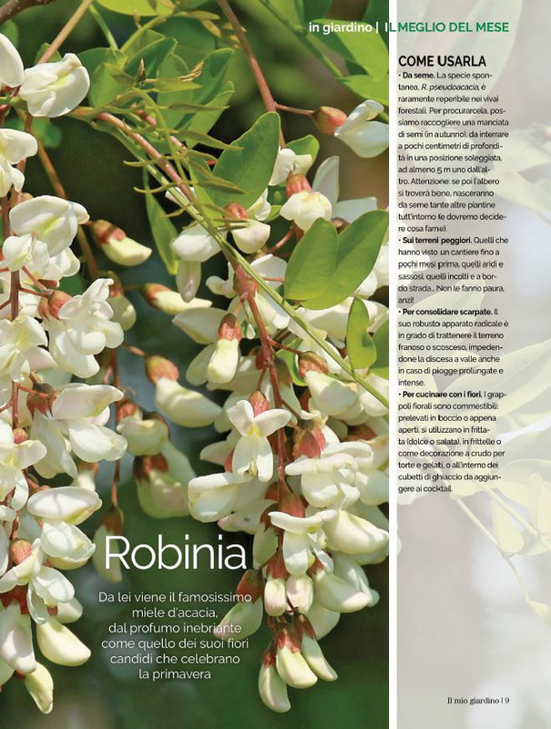 Il Mio Giar Apr-Mag 2022 (2)