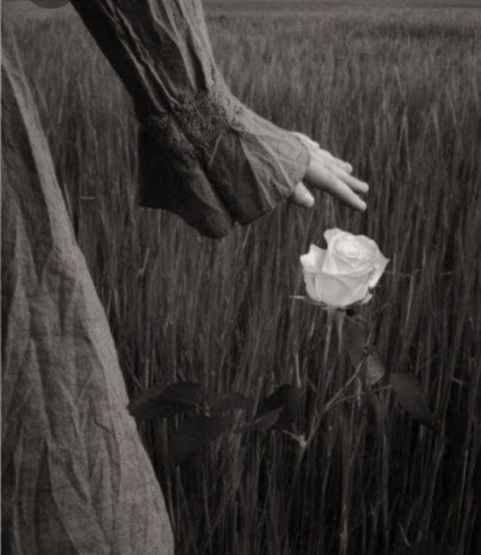 Screenshot_20230324_010156_Pinterest