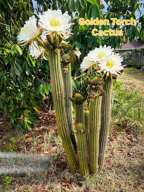 EA1AB121-A671-4539-9C6D-1FC9D718F47F