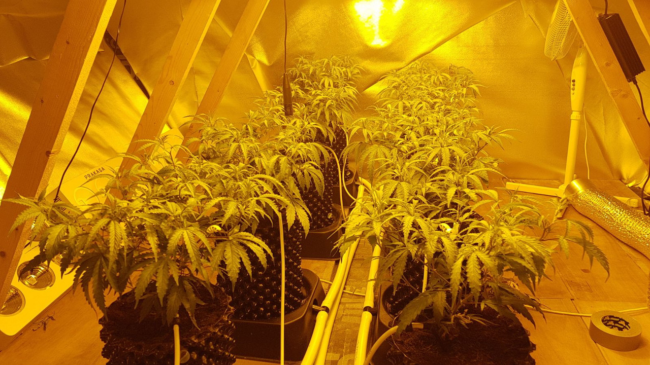 WhatsApp Image 2017-10-30 at 20.09.10