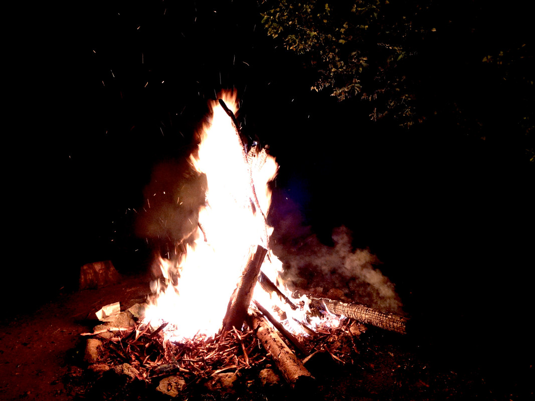 11.01 - DSC06719 (Czesio1)