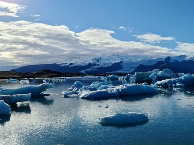 DIA 13: DJÚPIVOGUR A FJALLSÁRLÓN - Islandia en tiempos de Covid. Y con Camper! (20)