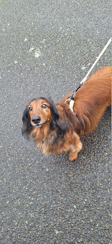 [Image: 20251221-150426.jpg]