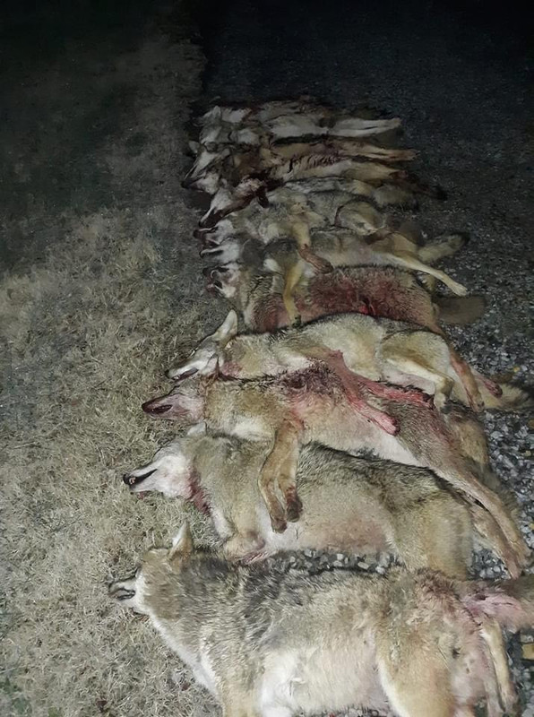 F8C88363-5B48-422C-BD2E-317E9426AE68