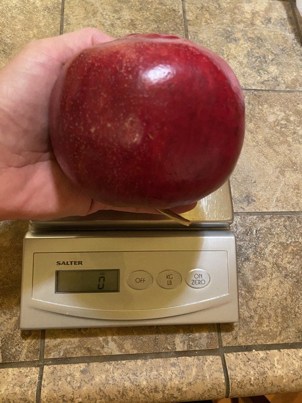 5F59A1CD-38FD-49D5-ACD3-5987C440F272