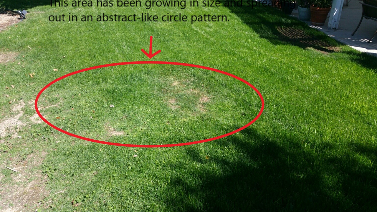 20180217_114019_1518978928117_resized