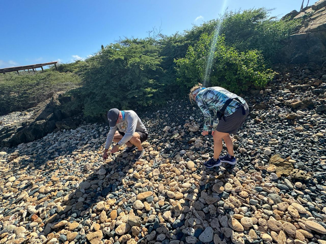 Blackstone Beach Aruba - Hidden Gem 