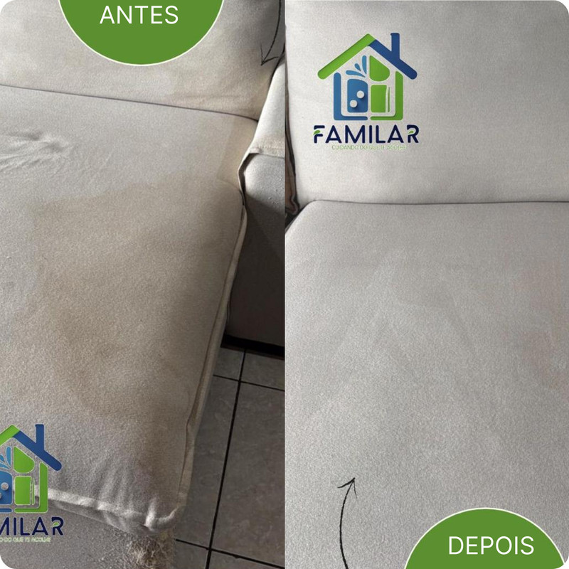Higienização Automotiva Familar