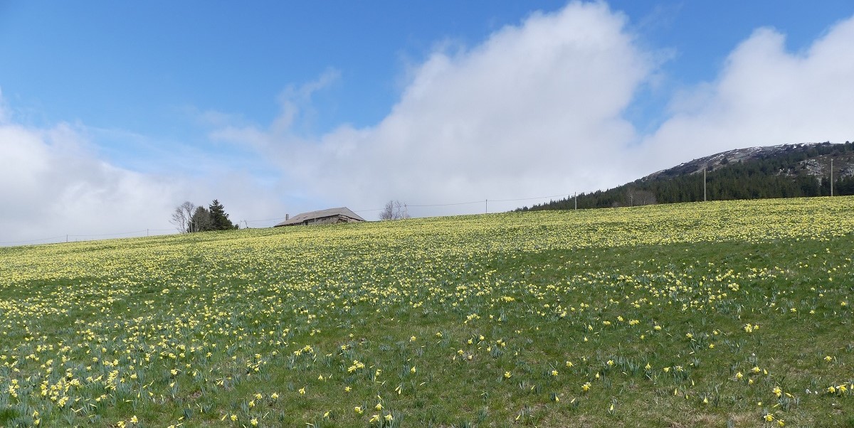 P1090021.jpg