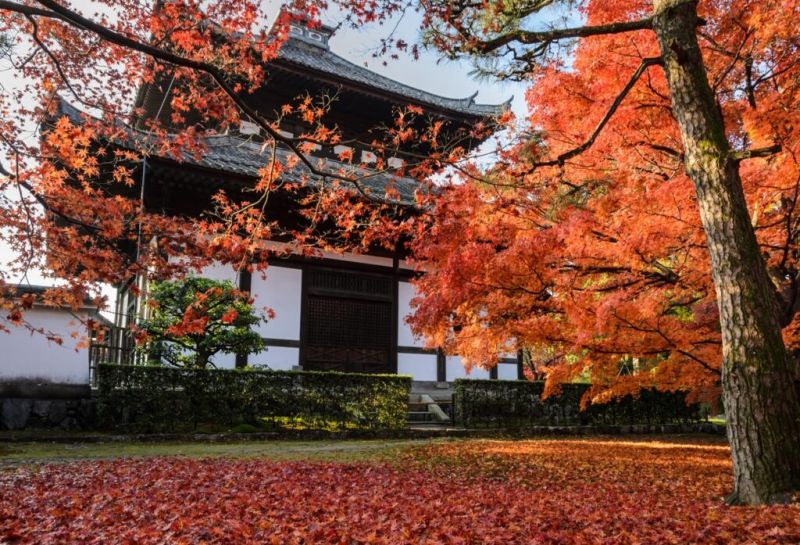 1256-Tofuku-ji-Temple