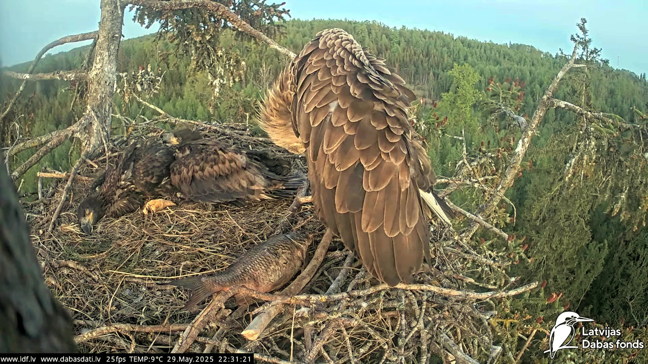 vlcsnap-2025-05-30-04h49m47s381